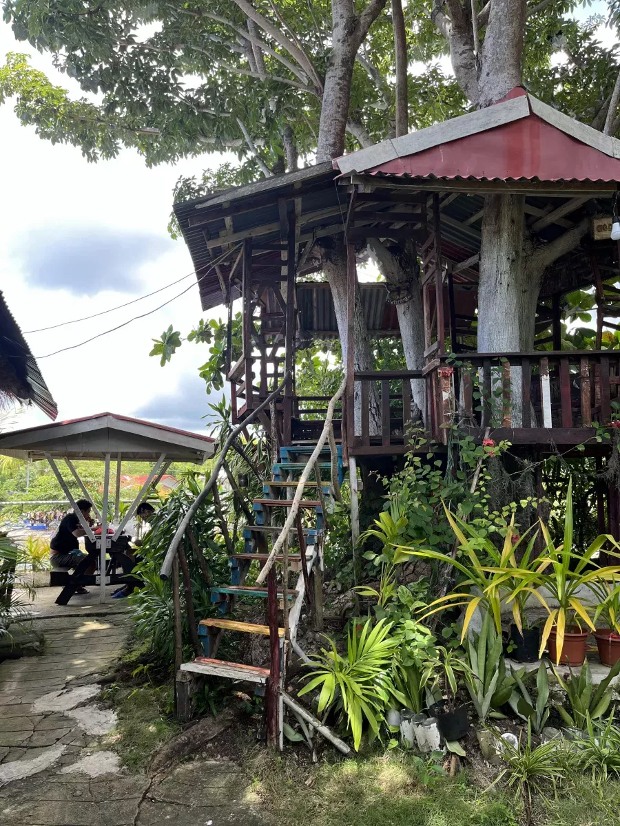 Gallery Photo
